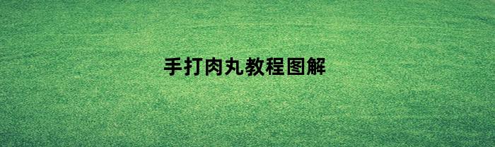 手打肉丸教程图解