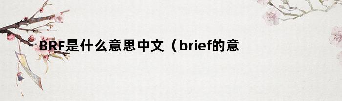 BRF是什么意思中文（brief的意思是什么）