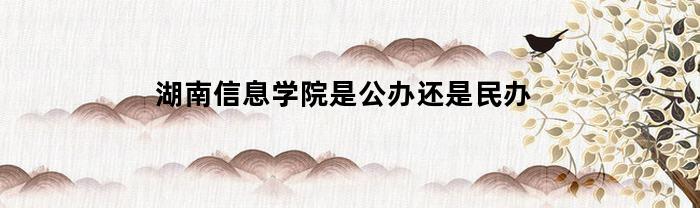 湖南信息学院是公办还是民办？请考证