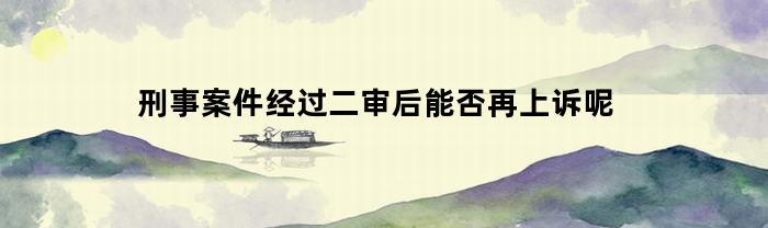 刑事案件经过二审后能否再上诉呢