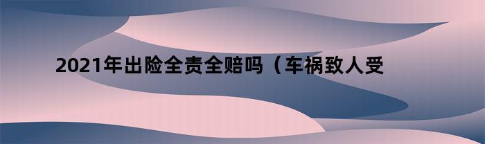 2021年出险全责全赔吗（车祸致人受伤赔偿标准2021）