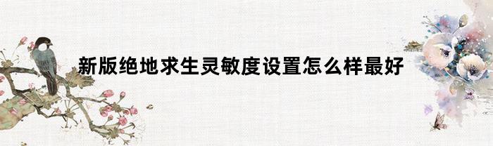 新版绝地求生灵敏度设置指南：如何调整最佳效果