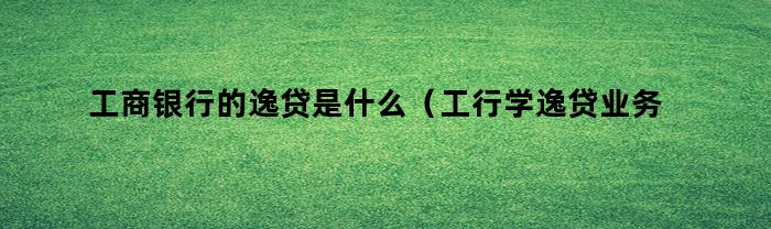 工商银行的逸贷是什么(工行学逸贷业务)
