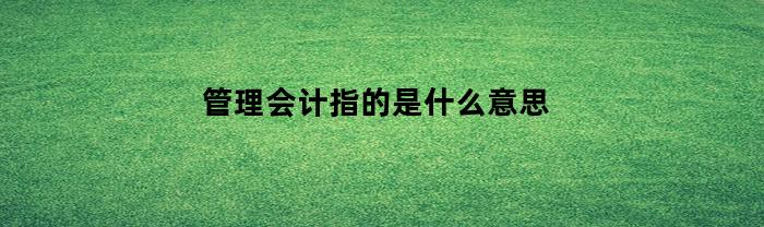 管理会计指的是什么意思