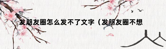 发朋友圈怎么发不了文字（发朋友圈不想发文字怎么表达好）
