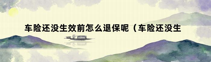 车险还没生效前怎么退保呢（车险还没生效前怎么退保费）