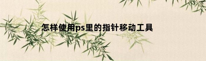 怎样使用ps里的指针移动工具