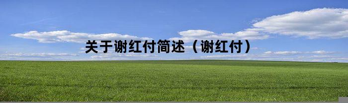 关于谢红付简述（谢红付）