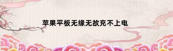 苹果平板无缘无故充不上电