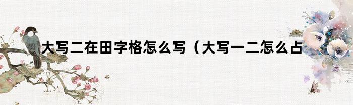 大写二在田字格怎么写(大写一二怎么占田字格)