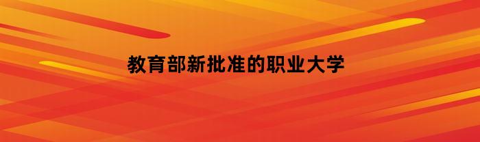 教育部新批准的职业大学