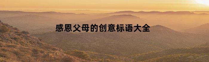 感恩父母的创意标语大全