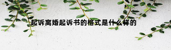起诉离婚起诉书的格式是什么样的