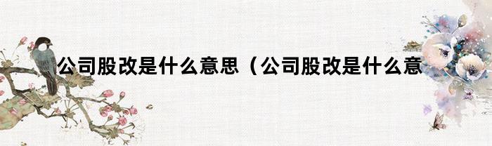 公司股改是什么意思（公司股改是什么意思员工出20万）