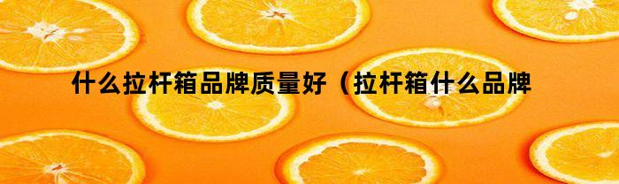 什么拉杆箱品牌质量好（拉杆箱什么品牌比较好）