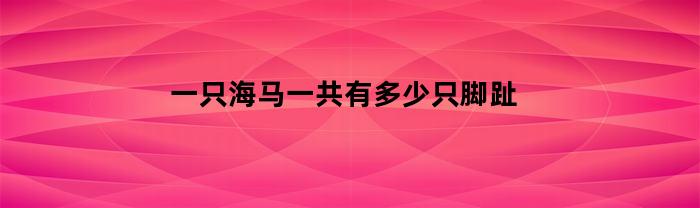 一只海马有多少只脚趾？