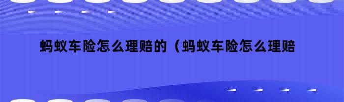 蚂蚁车险怎么理赔的（蚂蚁车险怎么理赔给客户）