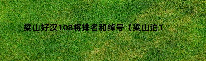 梁山好汉108将排名和绰号（梁山泊108好汉绰号和排名）