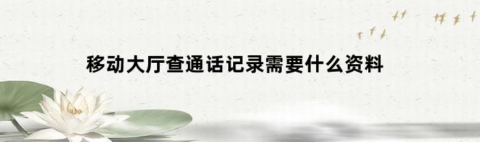 移动大厅查通话记录需要什么资料