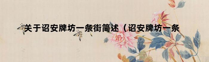 关于诏安牌坊一条街简述（诏安牌坊一条街）