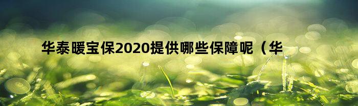 华泰暖宝保2020提供哪些保障呢（华泰暖宝保2021）