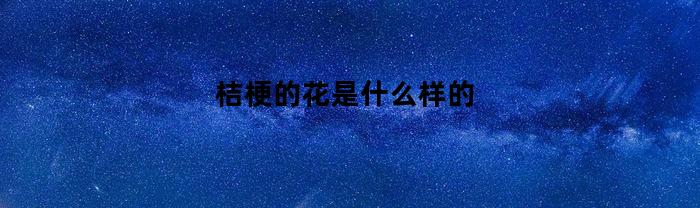桔梗的花是什么样的