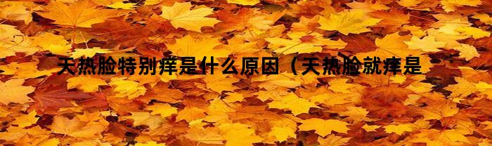 天热脸特别痒是什么原因(天热脸就痒是怎么回事)