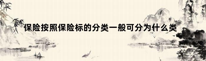 保险按照保险标的分类一般可分为什么类型（保险按照保险标的分类一般可分为什么类别）