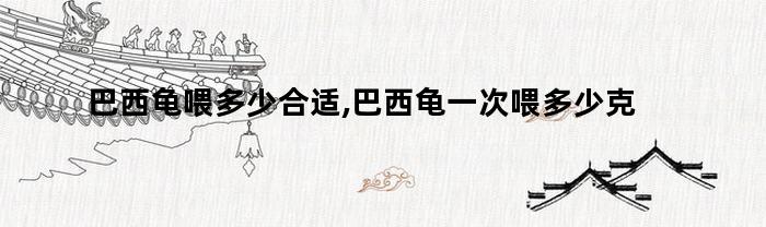 巴西龟喂多少合适,巴西龟一次喂多少克（巴西龟喂食多少量合适几天喂一次）