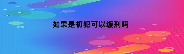 如果是初犯可以缓刑吗