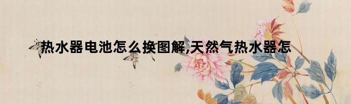 热水器电池怎么换图解,天然气热水器怎么换电池视频（热水器电池怎么换图解,天然气热水器怎么换电池的）