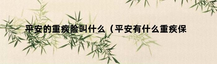 平安的重疾险叫什么（平安有什么重疾保险）