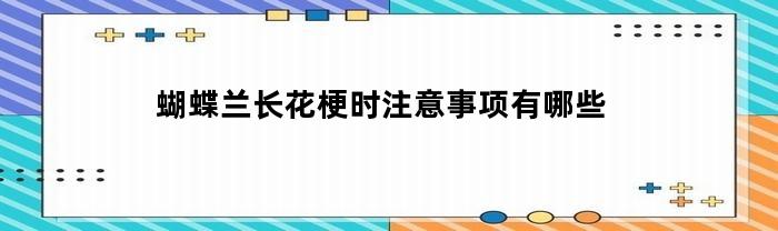 蝴蝶兰长花梗时注意事项有哪些