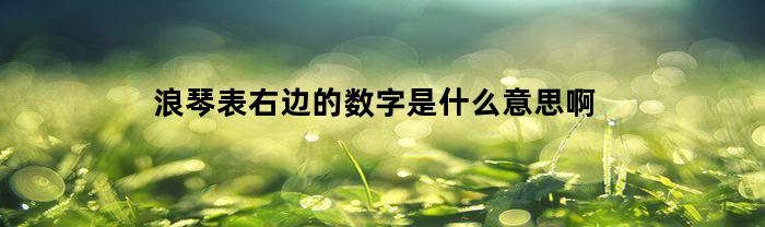 浪琴表右边的数字是什么意思啊