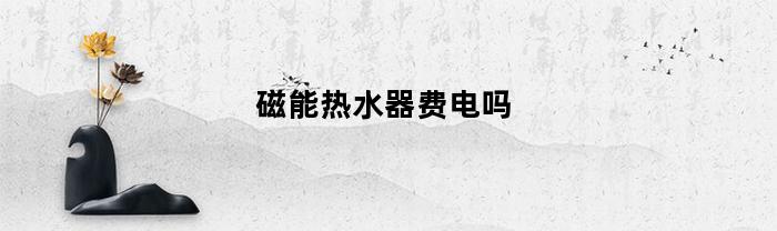 磁能热水器费电吗