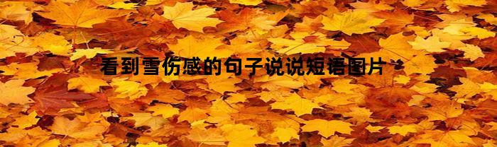 看到雪伤感的句子说说短语图片