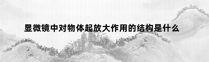 显微镜中对物体起放大作用的结构是什么（显微镜中对物体起放大作用的结构是）