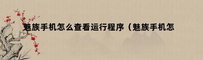 魅族手机怎么查看运行程序（魅族手机怎么看运行程序）