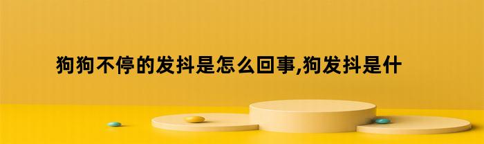 狗狗不停的发抖是怎么回事,狗发抖是什么原因呢（狗狗一直在发抖是怎么回事）