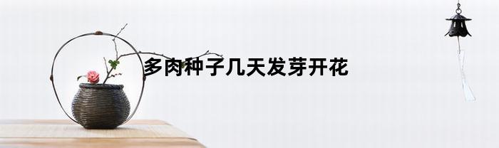 多肉种子几天发芽开花