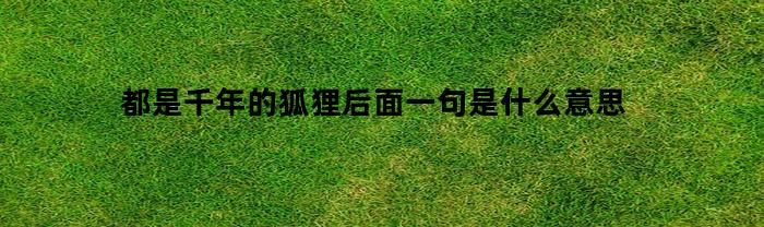 都是千年的狐狸后面一句是什么意思