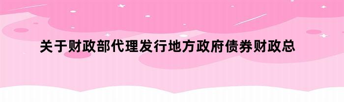 关于财政部代理发行地方政府债券财政总预算会计核算办法简述（财政部代理发行地方政府债券财政总预算会计核算办法）