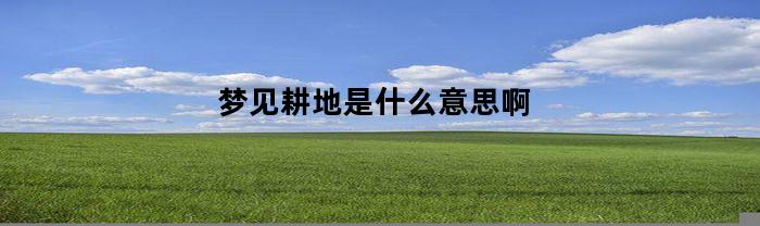 梦见耕地是什么意思啊