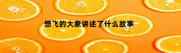 想飞的大象讲述了什么故事