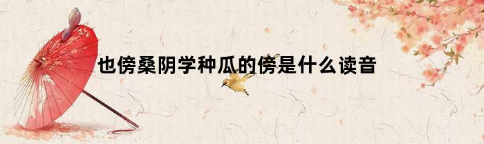 也傍桑阴学种瓜的傍是什么读音