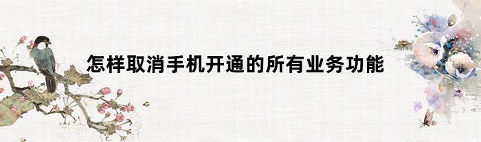 怎样取消手机开通的所有业务功能