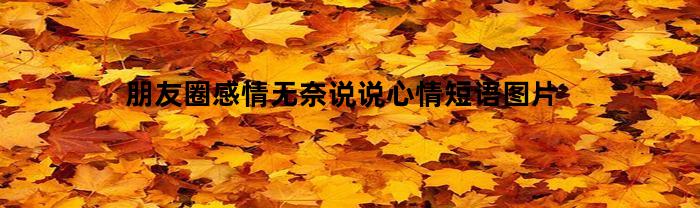 朋友圈感情无奈说说心情短语图片