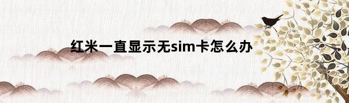 红米一直显示无sim卡怎么办