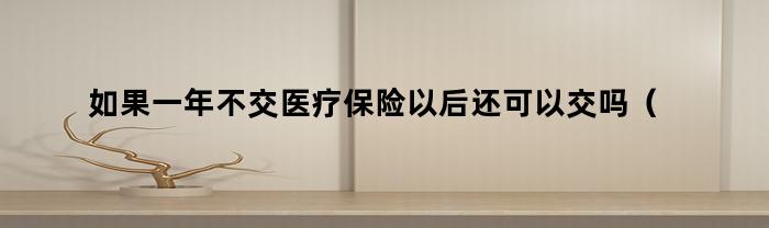 如果一年不交医疗保险以后还可以交吗(如果一年不交医疗保险以后还可以交吗怎么办)