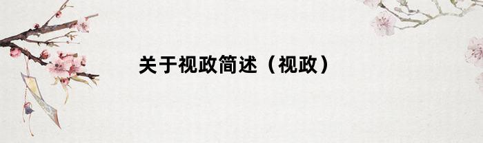 关于视政简述（视政）